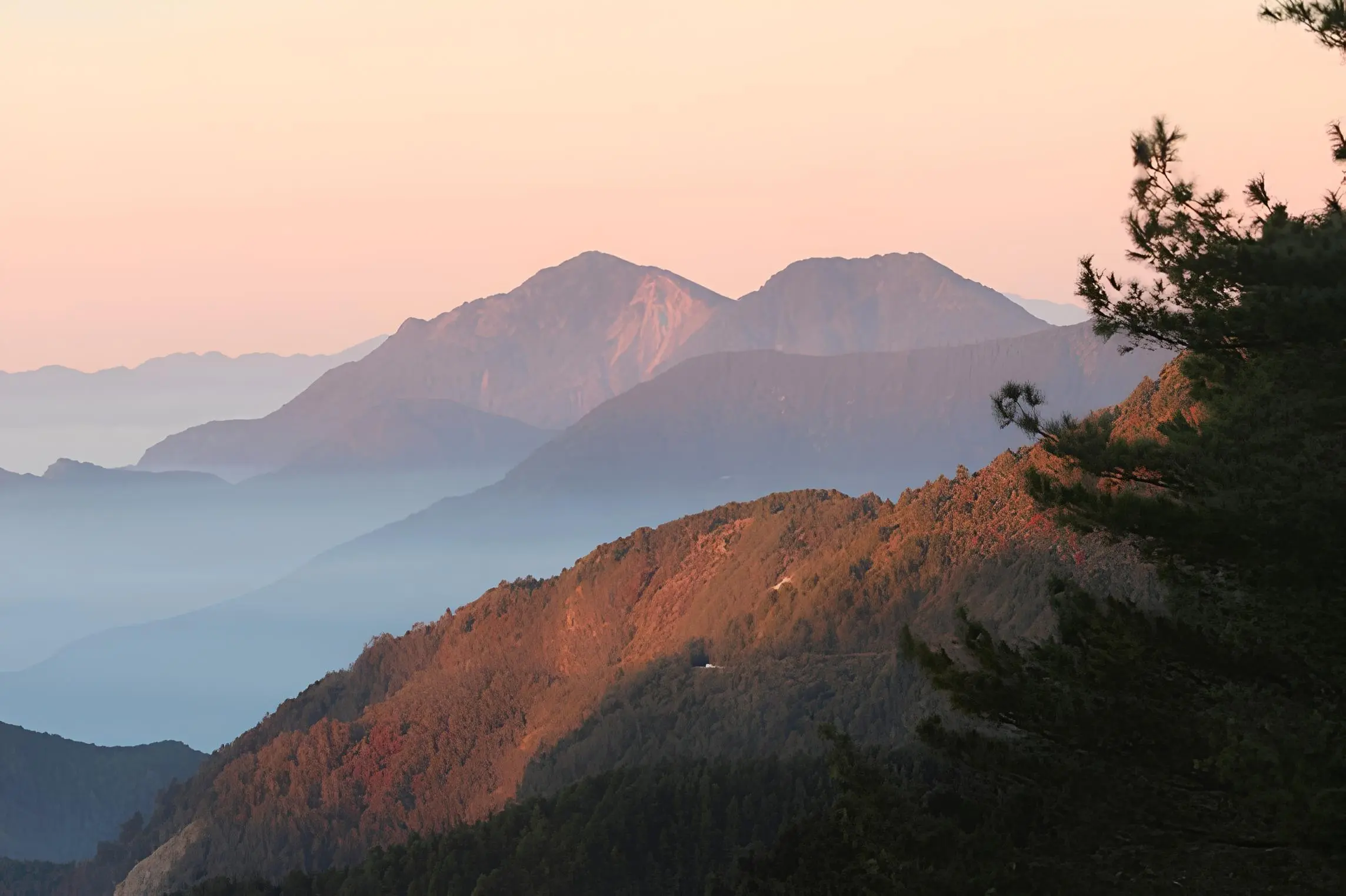 乘坐綠色運輸，走訪塔塔加群峰，眺望百岳美景